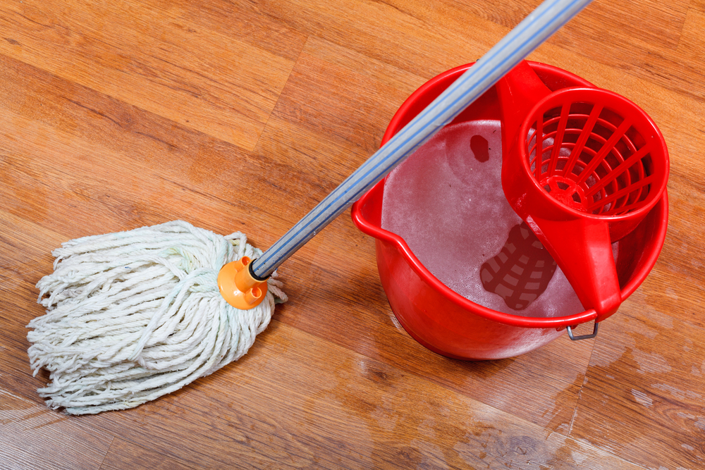 Closeup of a mop and bucket on hard wood flooring.